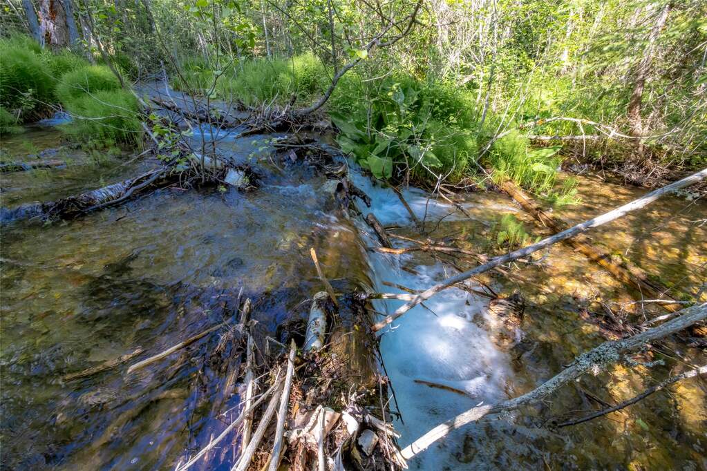 Land/Vacant Land's Image 8