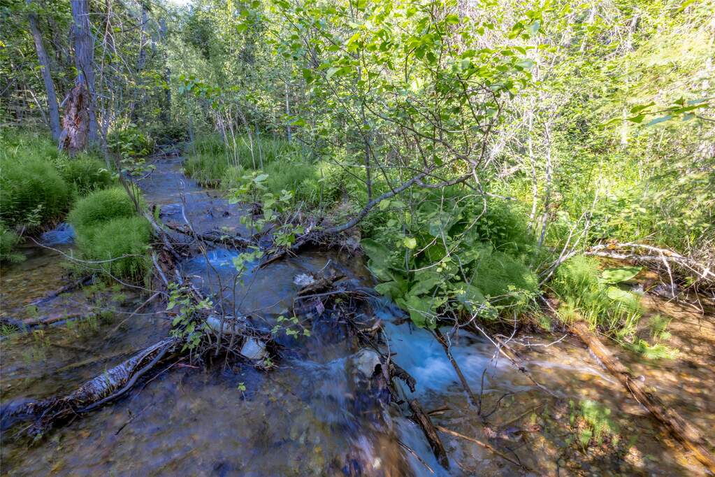 Land/Vacant Land's Image 9