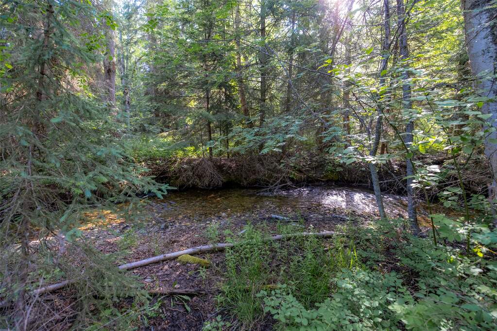 Land/Vacant Land's Image 21