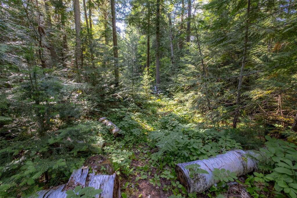 Land/Vacant Land's Image 6
