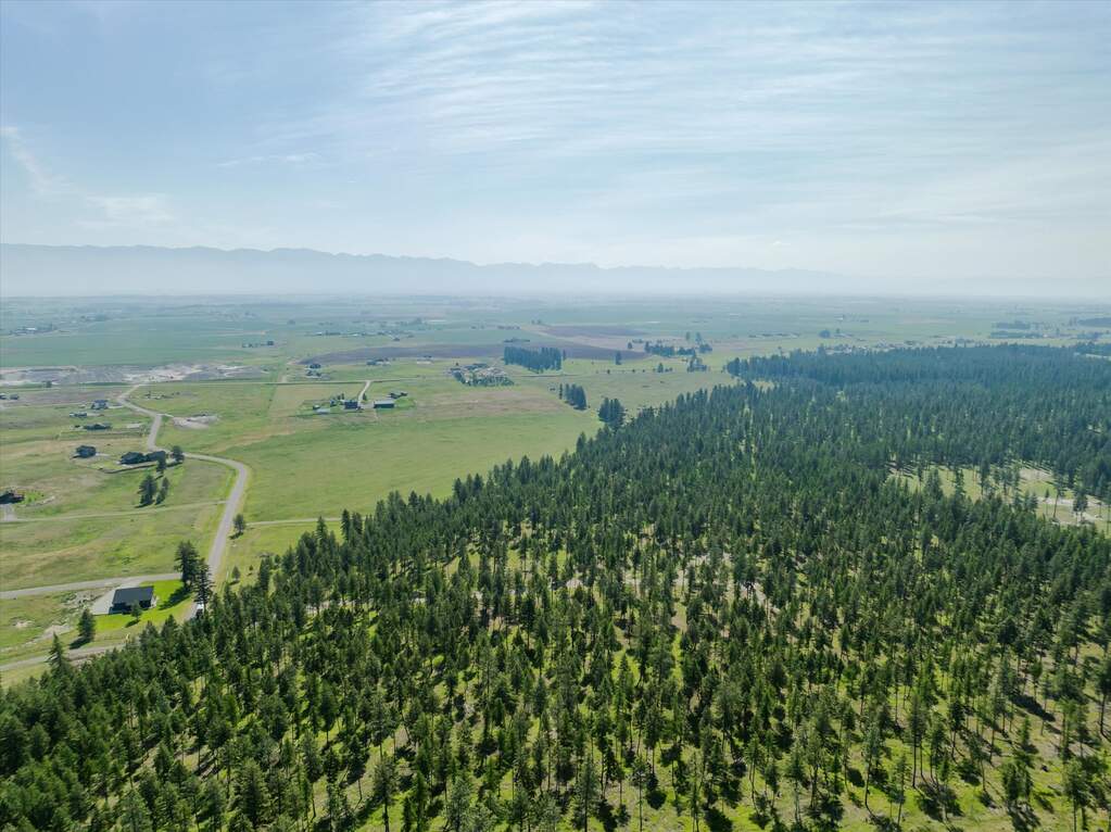 Land/Vacant Land's Image 19