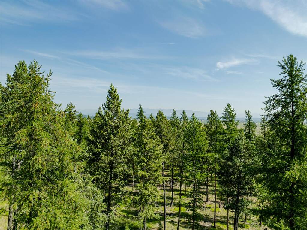 Land/Vacant Land's Image 43