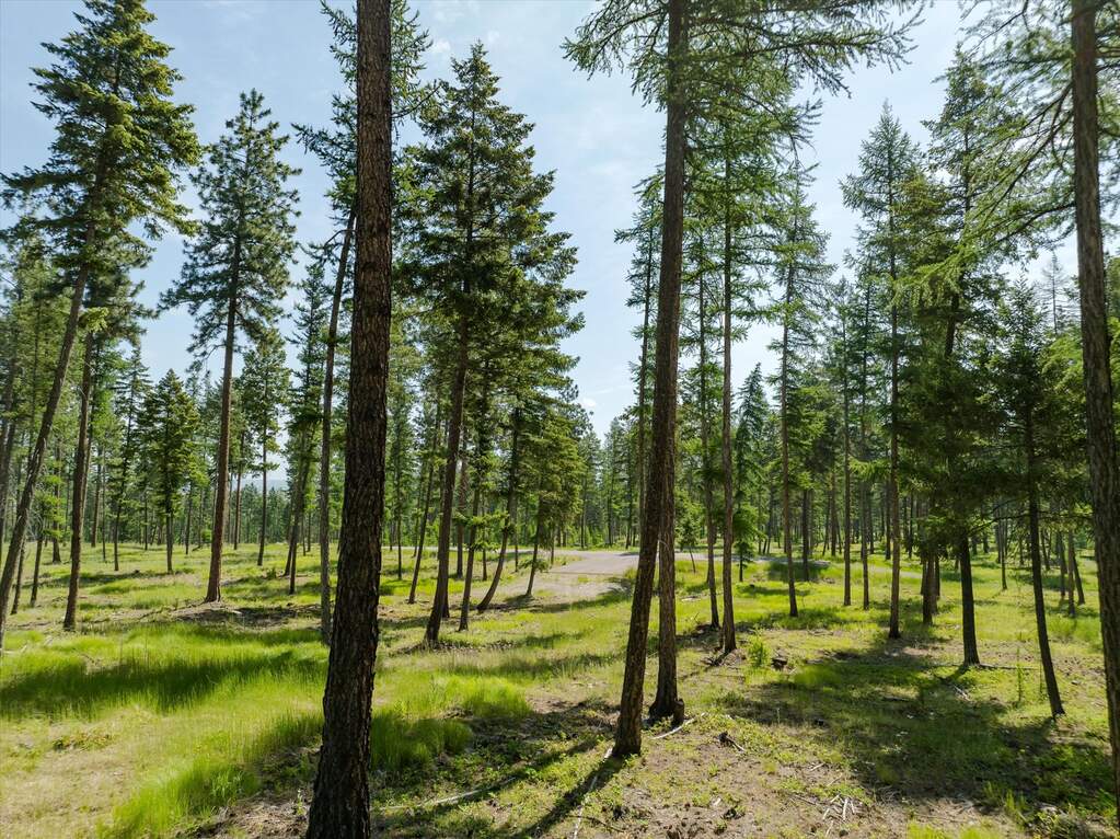 Land/Vacant Land's Image 58