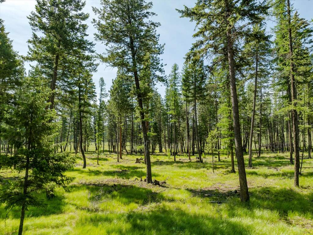 Land/Vacant Land's Image 66
