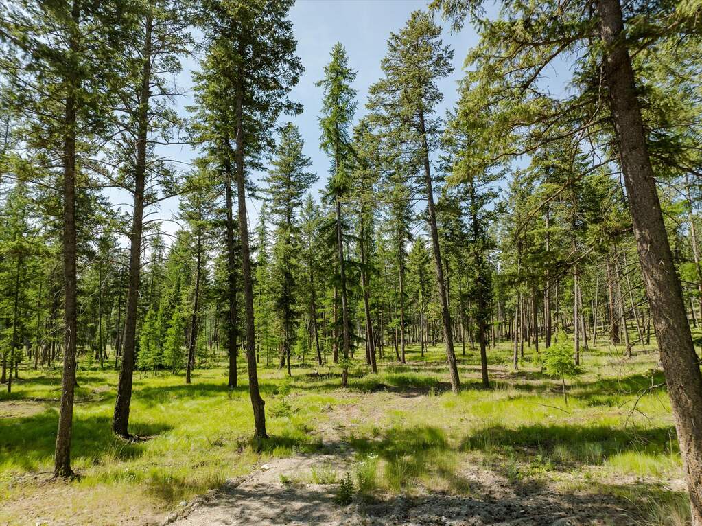 Land/Vacant Land's Image 72
