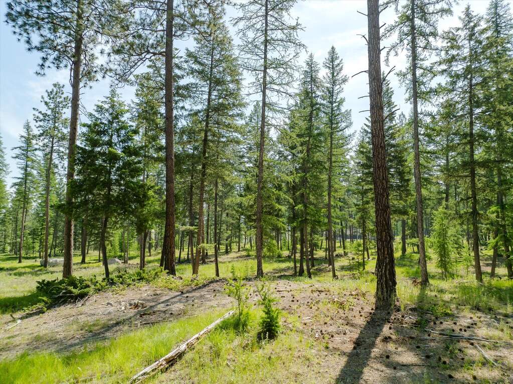 Land/Vacant Land's Image 74