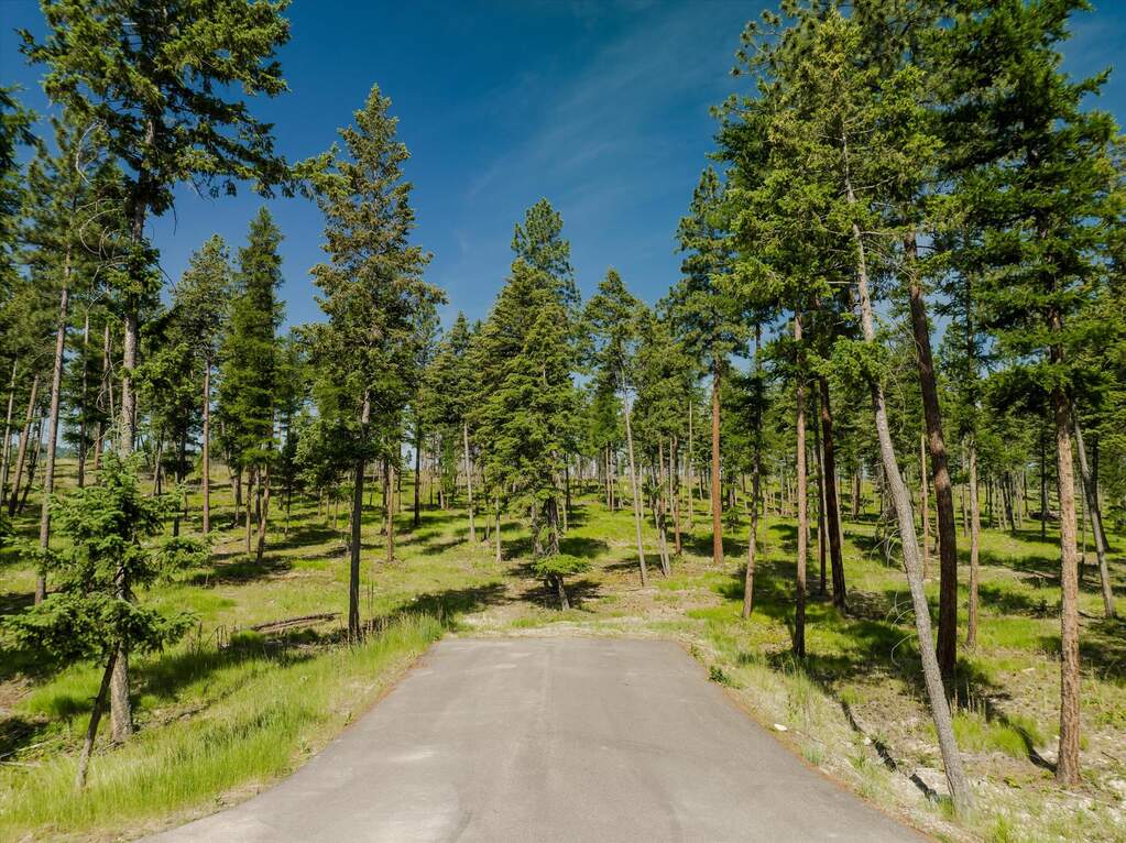 Land/Vacant Land's Image 92