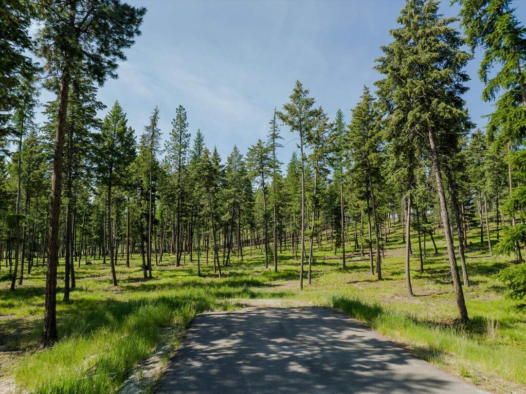 Land/Vacant Land's Image 93