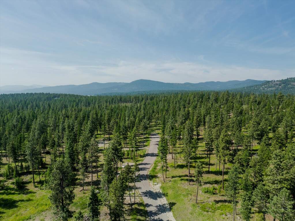 Land/Vacant Land's Image 9