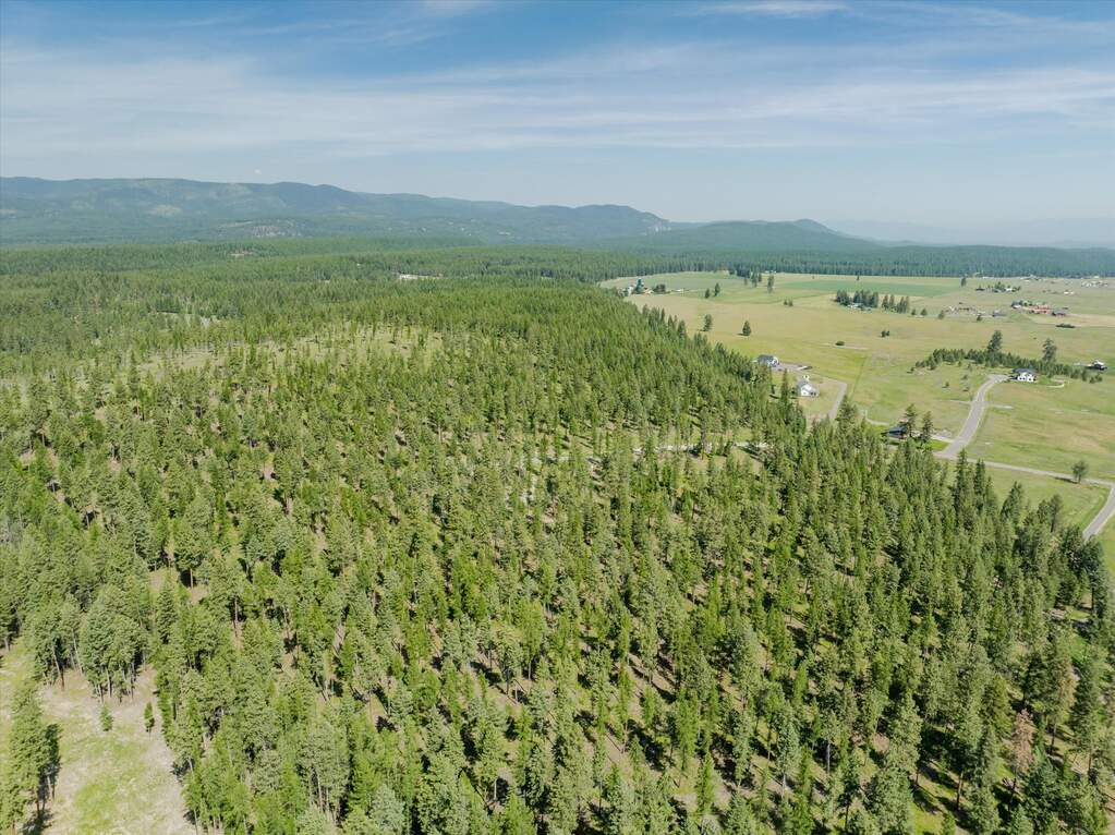 Land/Vacant Land's Image 16