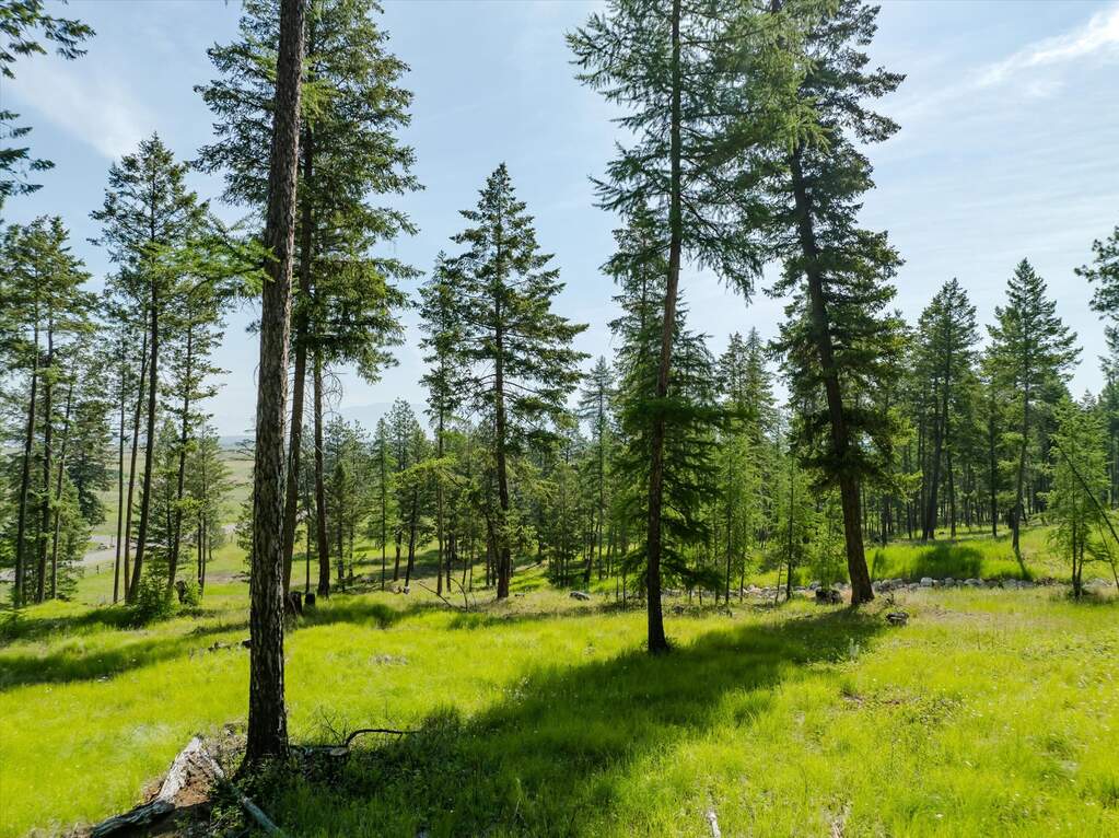 Land/Vacant Land's Image 36