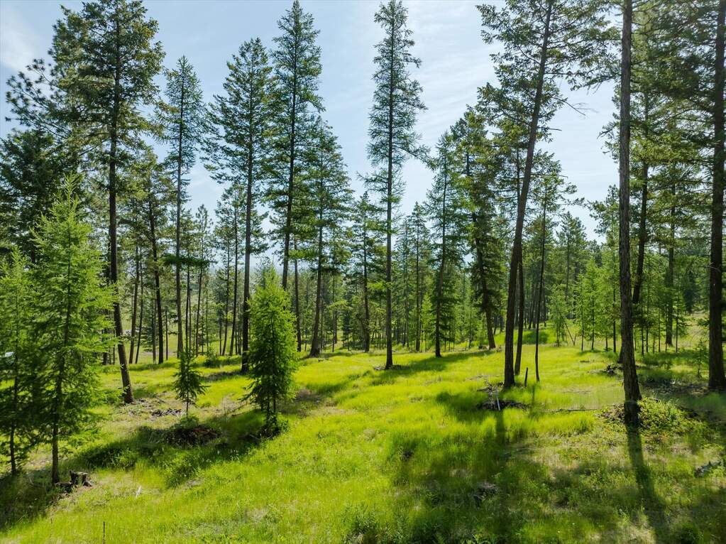 Land/Vacant Land's Image 3