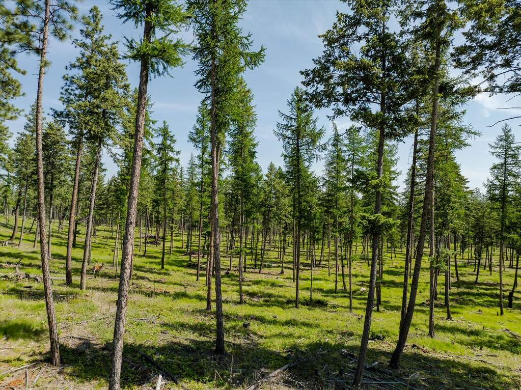 Land/Vacant Land's Image 59