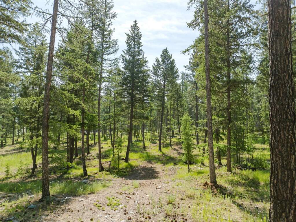Land/Vacant Land's Image 73
