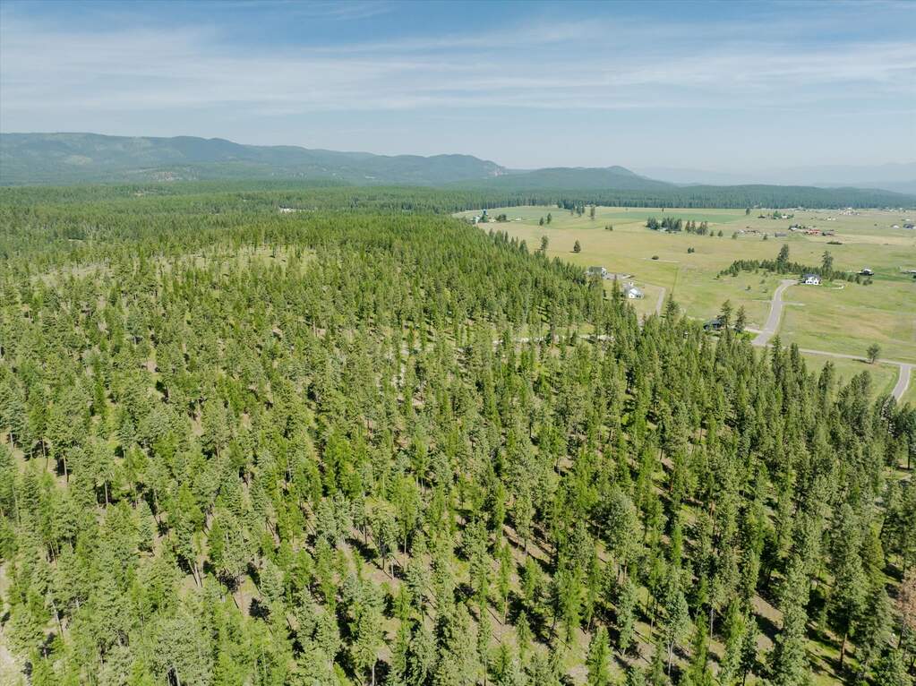 Land/Vacant Land's Image 25