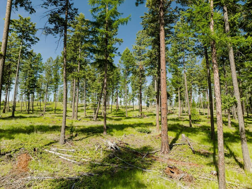 Land/Vacant Land's Image 37