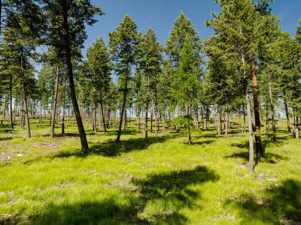 Land/Vacant Land's Image 46