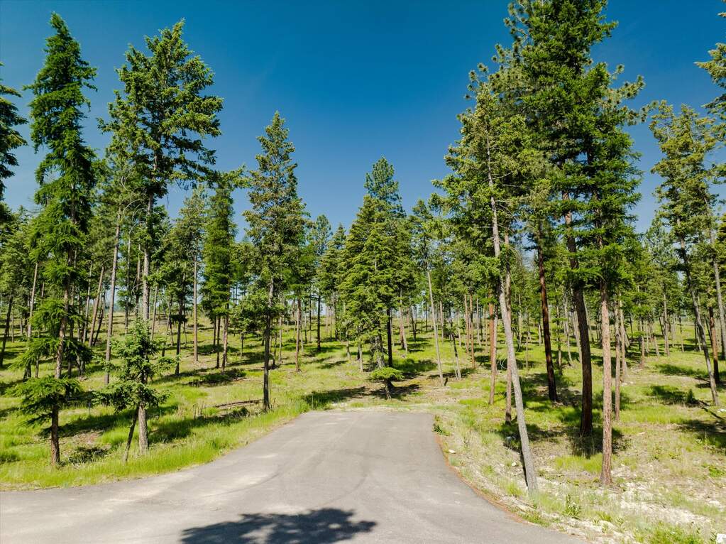 Land/Vacant Land's Image 53