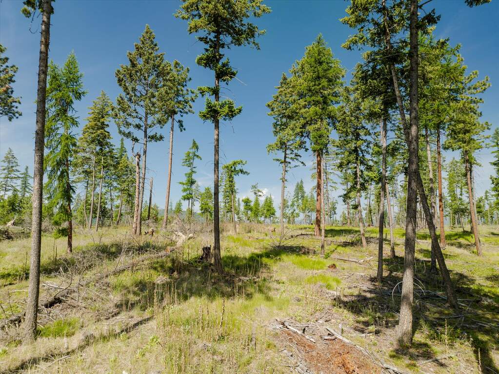 Land/Vacant Land's Image 57