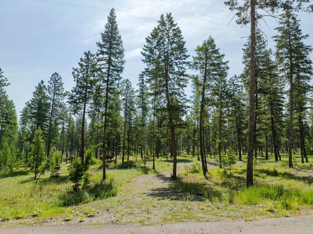Land/Vacant Land's Image 67