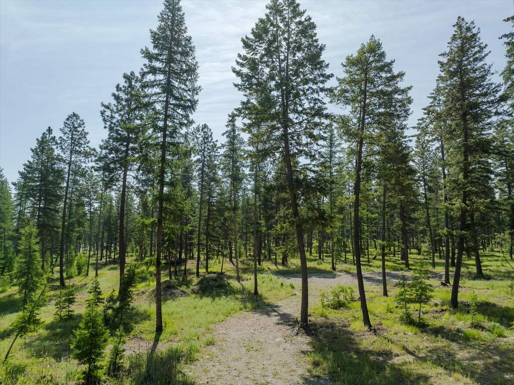 Land/Vacant Land's Image 5