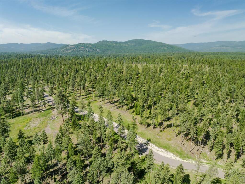 Land/Vacant Land's Image 29