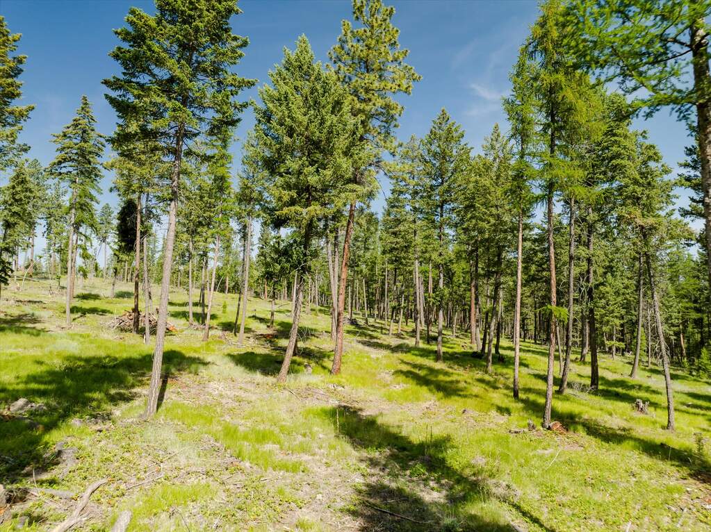 Land/Vacant Land's Image 37
