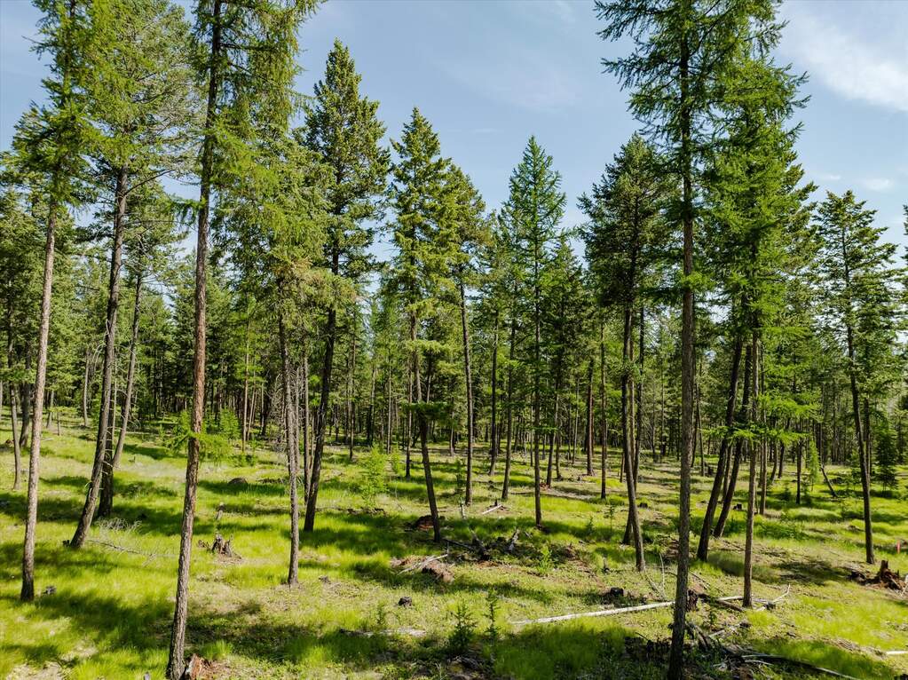 Land/Vacant Land's Image 38