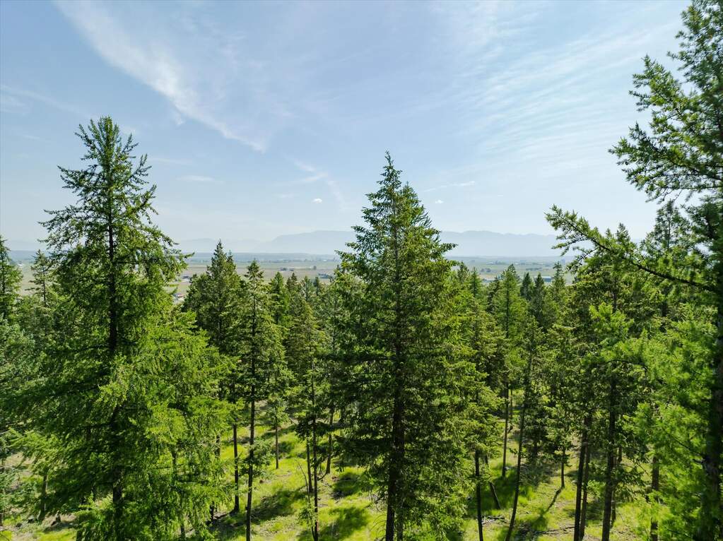 Land/Vacant Land's Image 41