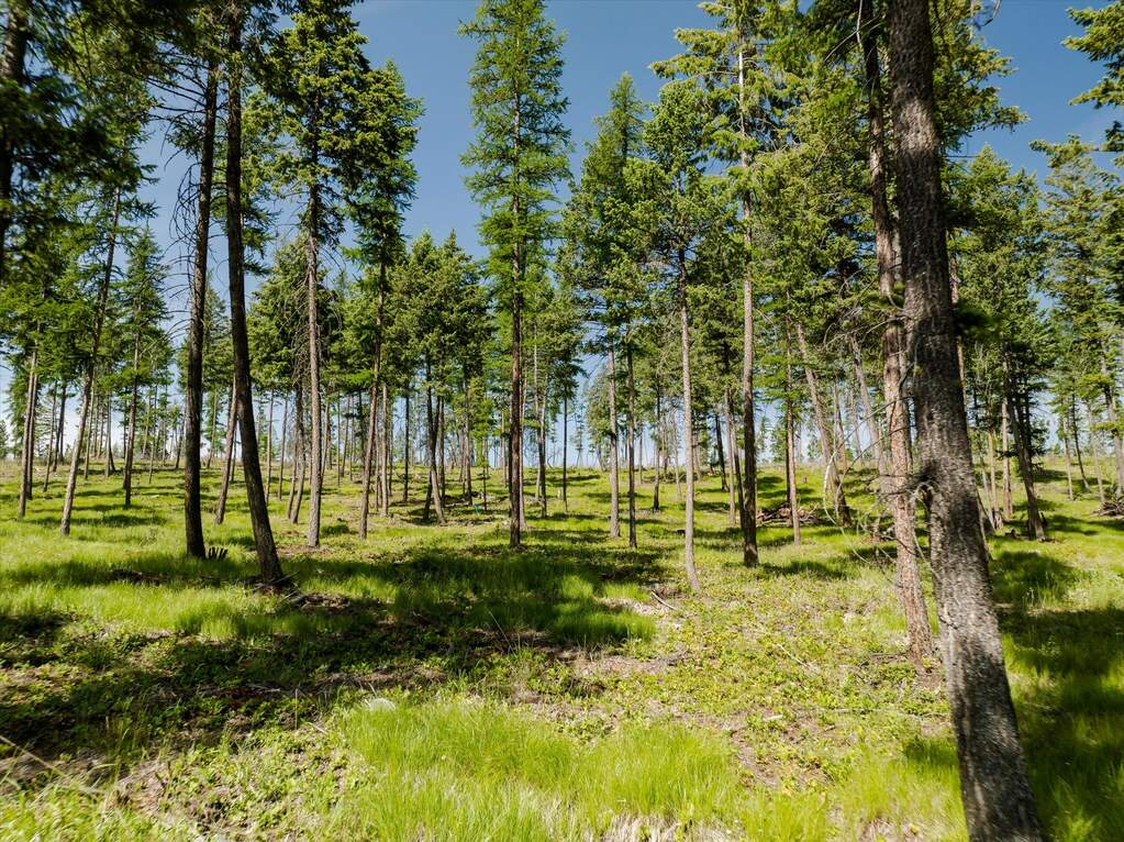 Land/Vacant Land's Image 46