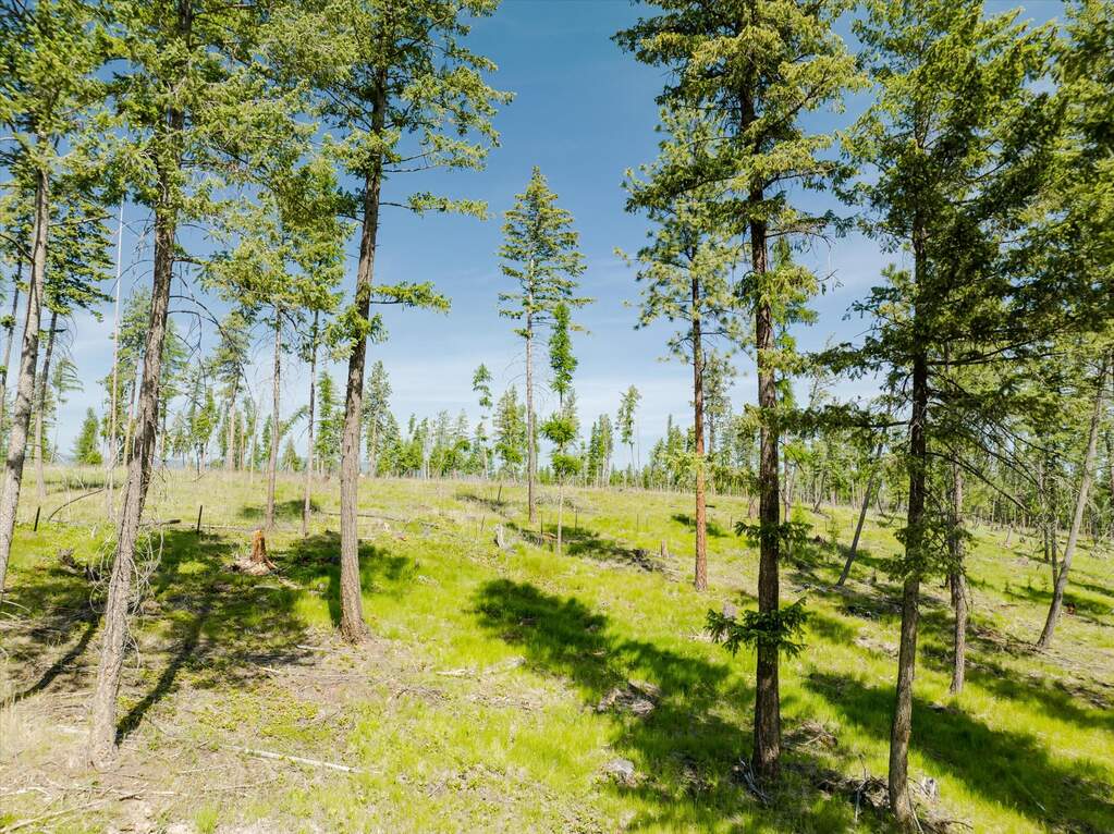 Land/Vacant Land's Image 49