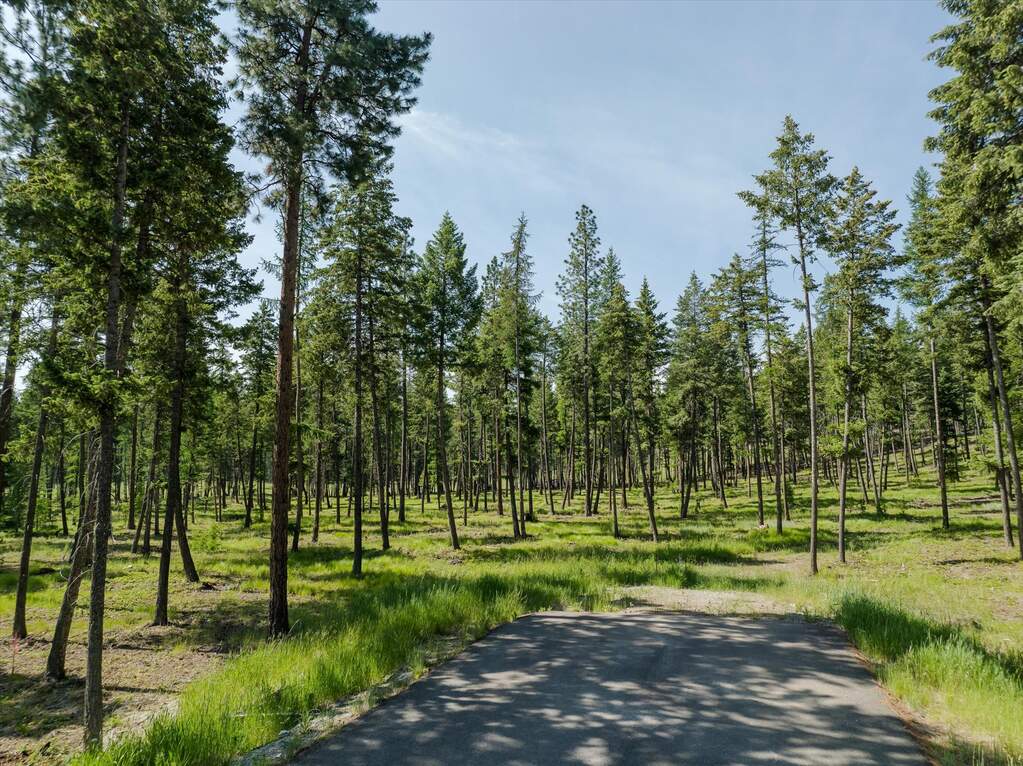 Land/Vacant Land's Image 4