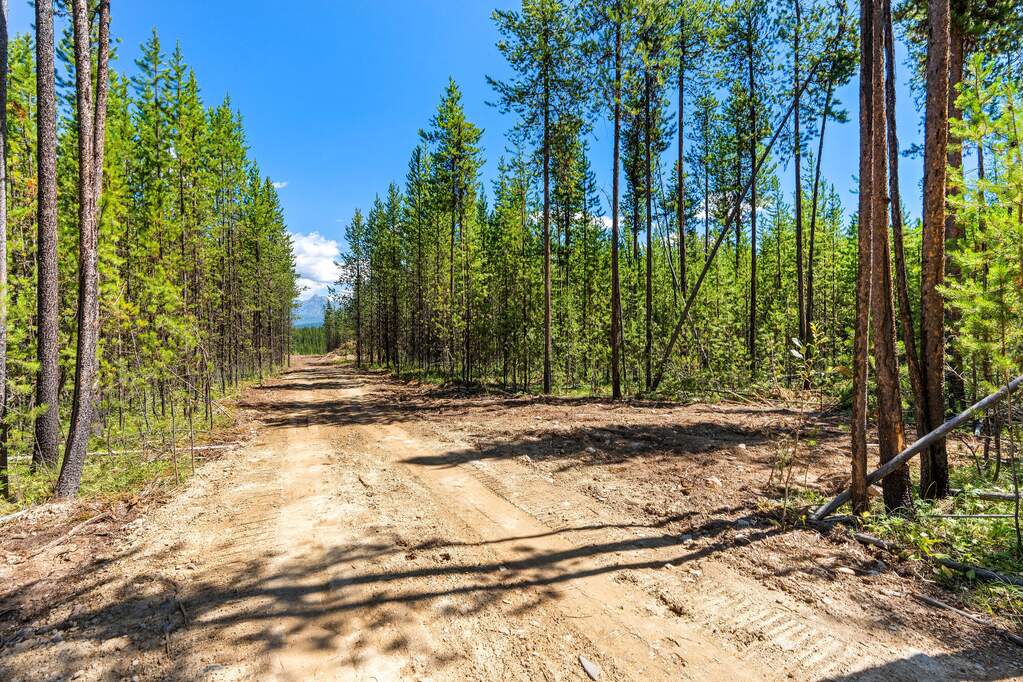 Land/Vacant Land's Image 8