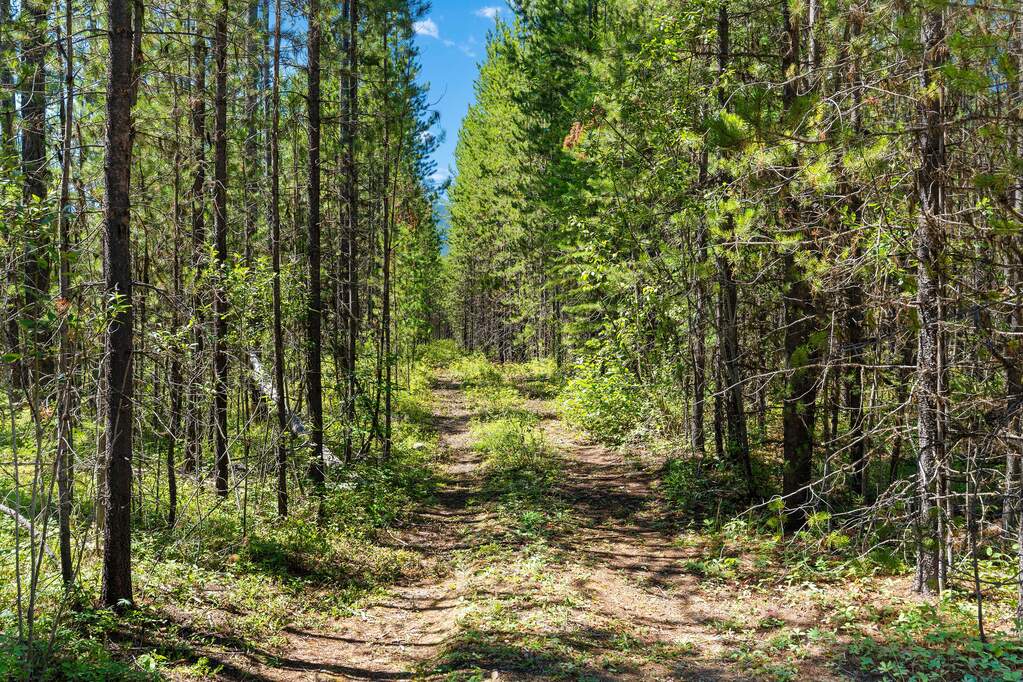 Land/Vacant Land's Image 16