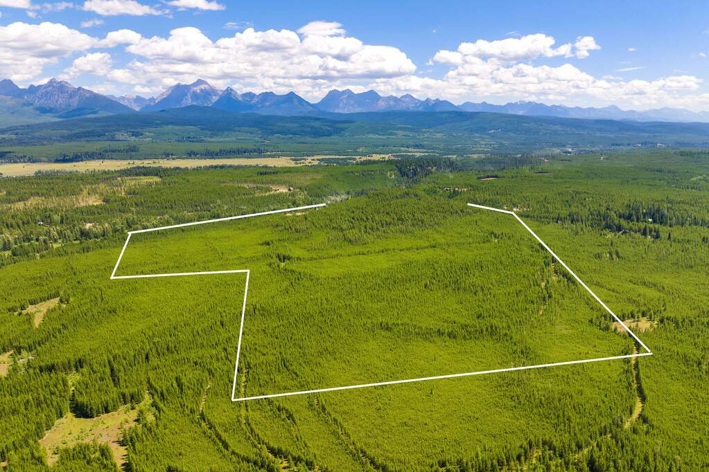 Land/Vacant Land's Image 18