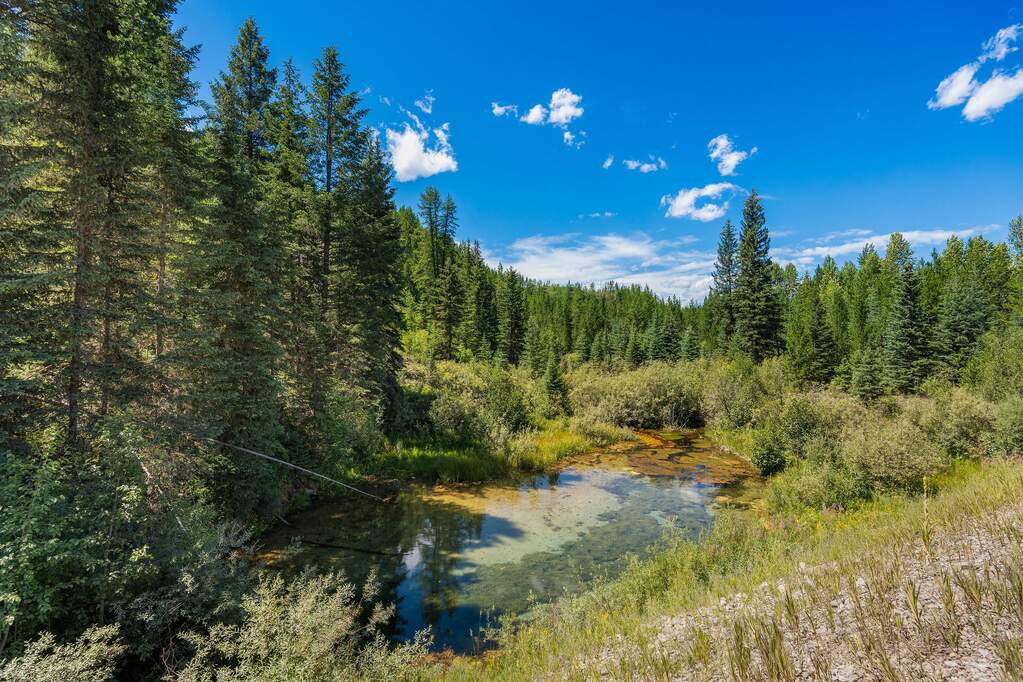 Land/Vacant Land's Image 25