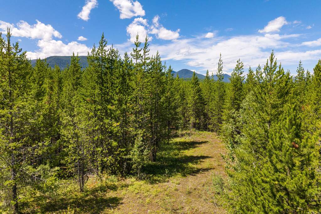 Land/Vacant Land's Image 27