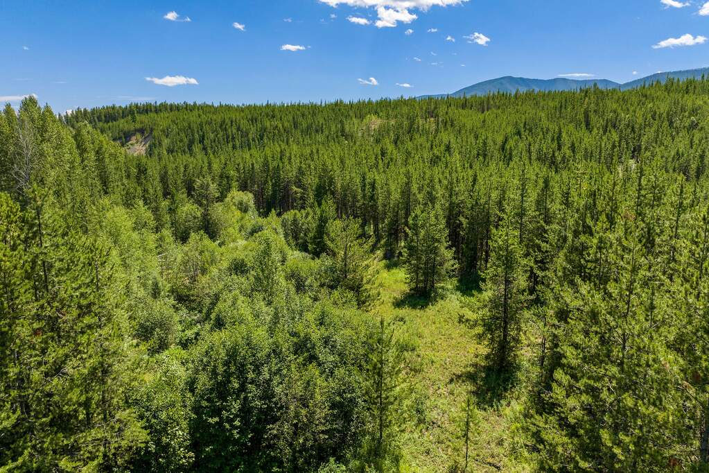Land/Vacant Land's Image 28
