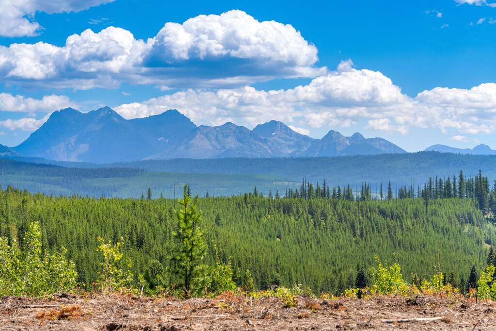 Land/Vacant Land's Image 5