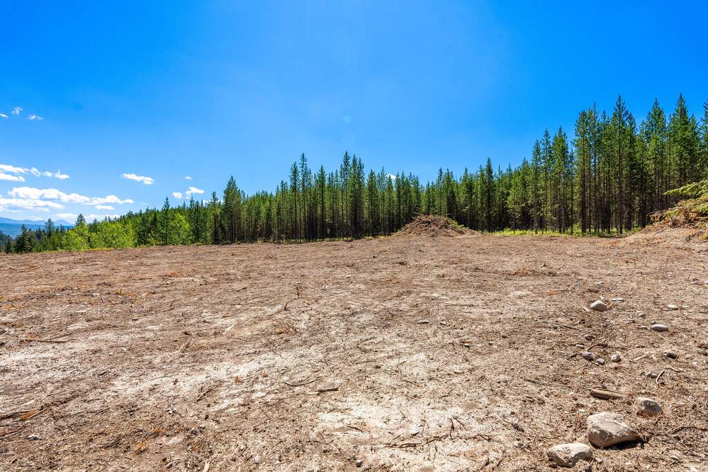 Land/Vacant Land's Image 6