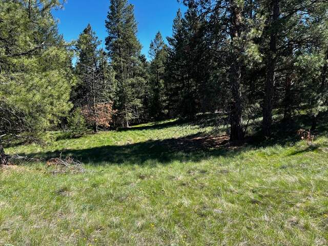 Land/Vacant Land's Image 7