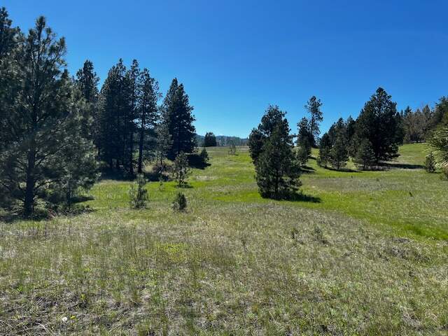 Land/Vacant Land's Image 8