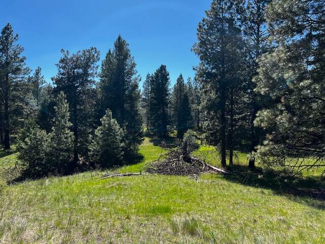 Land/Vacant Land's Image 3