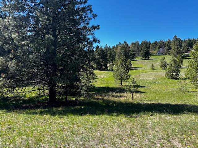 Land/Vacant Land's Image 4