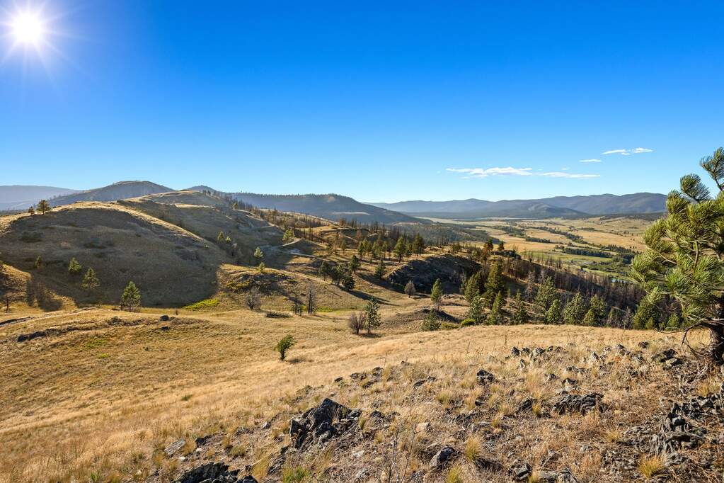 Land/Vacant Land's Image 19