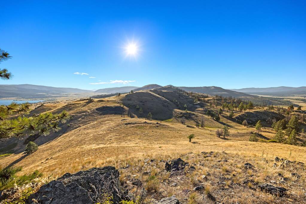 Land/Vacant Land's Image 20
