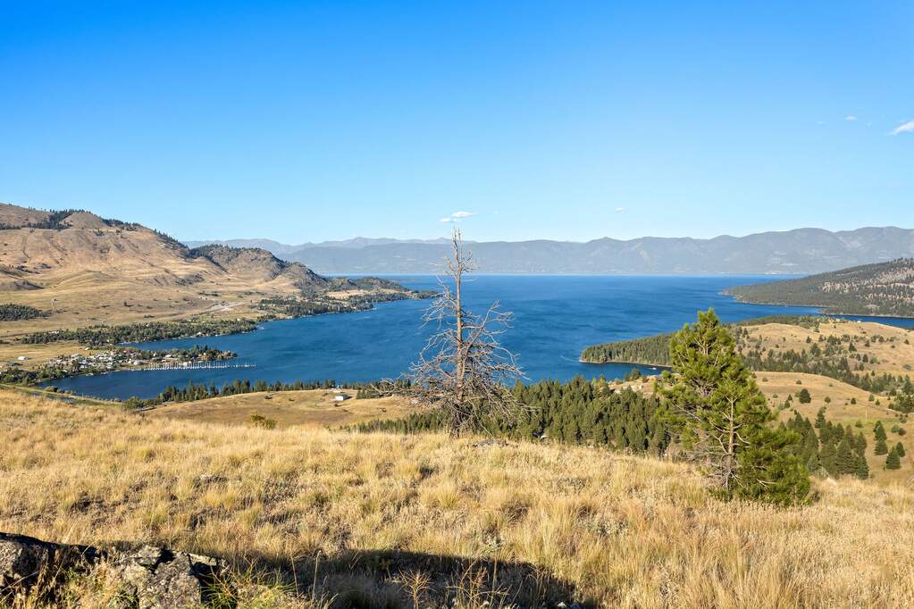Land/Vacant Land's Image 22