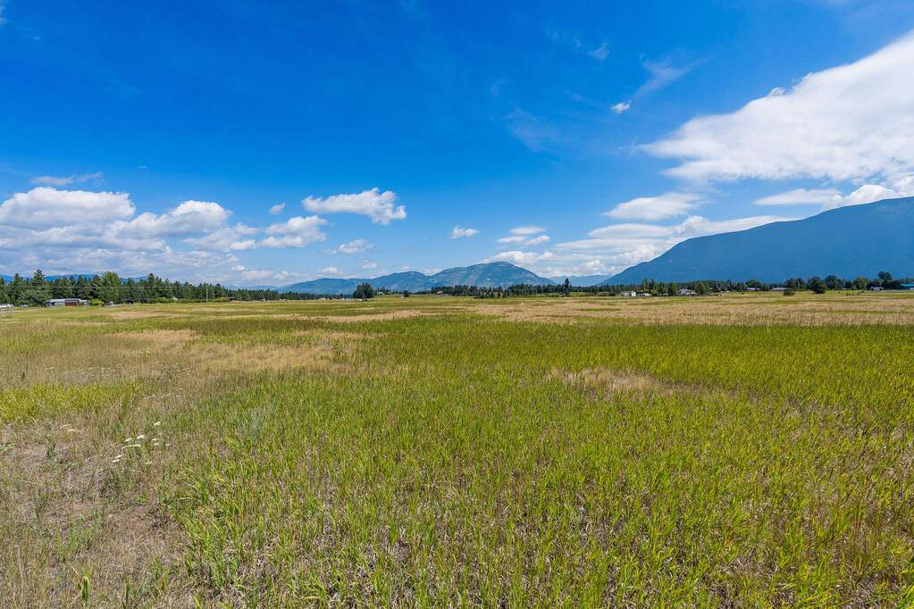 Land/Vacant Land's Image 9