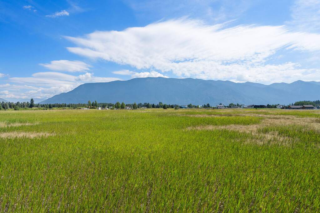 Land/Vacant Land's Image 11