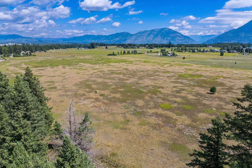 Land/Vacant Land's Image 25